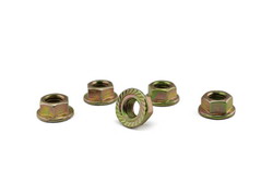 Hex Flange Nuts