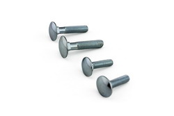 Carriage Bolts